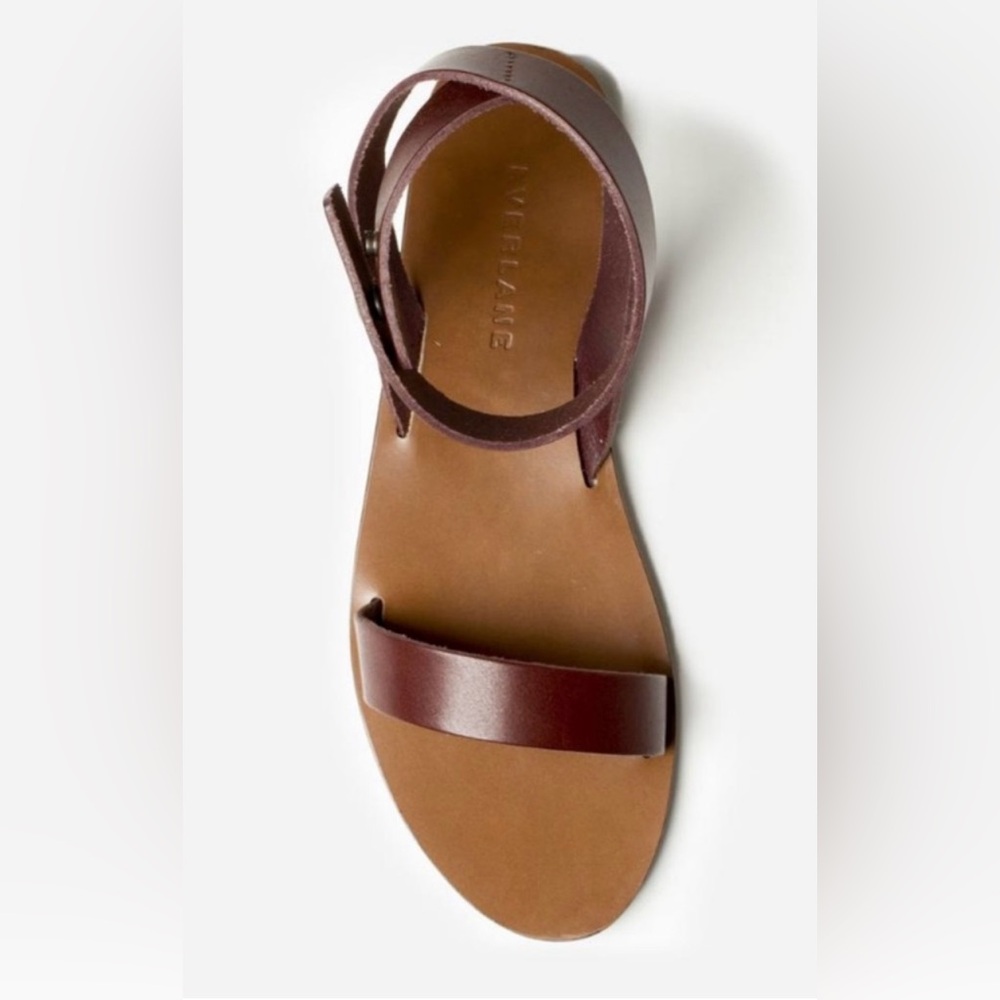 Everlane Brown Italian Leather Ankle Strap Flat Sandals